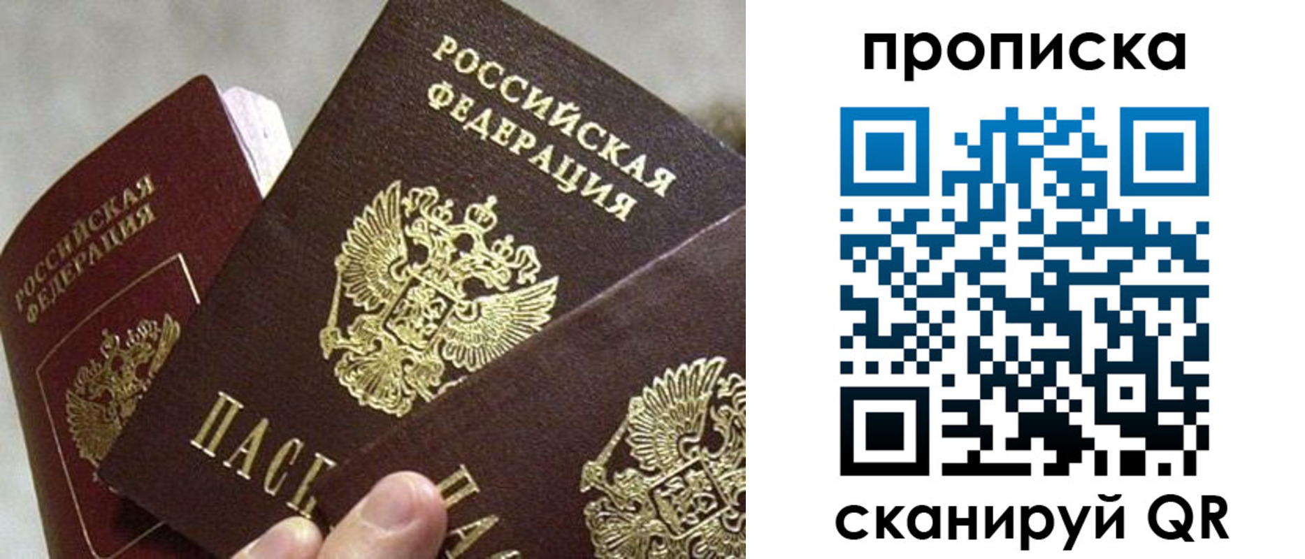прописка 2025 в Луге